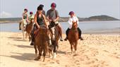 St Mary's Riding Centre